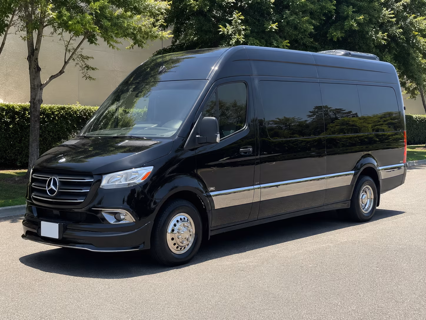 waco 15 passenger sprinter van